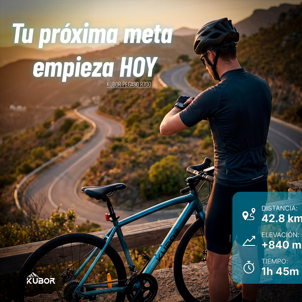 Bicicleta de Ruta Pegaso R700 14V Kubor de Aluminio con Frenos de Disco