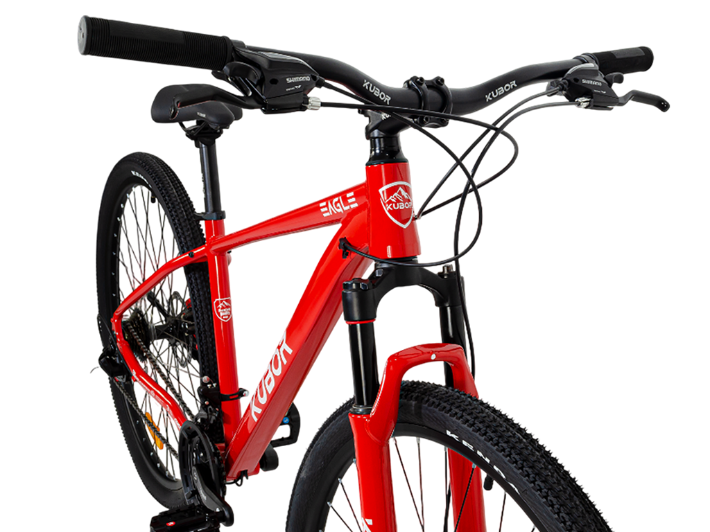 EAGLE R29 21V Bicicleta de Montaña