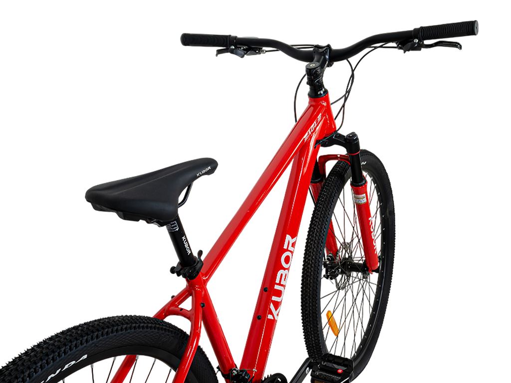 EAGLE R29 21V Bicicleta de Montaña