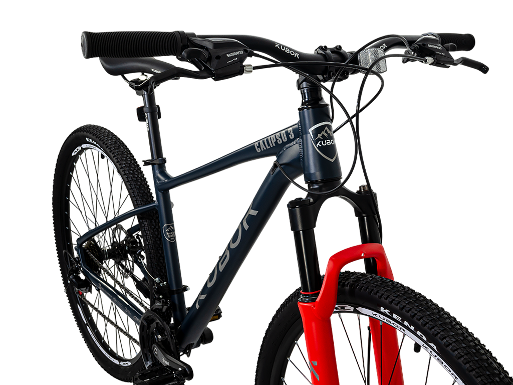 CALIPSO 3 R29 21V Bicicleta De Montaña