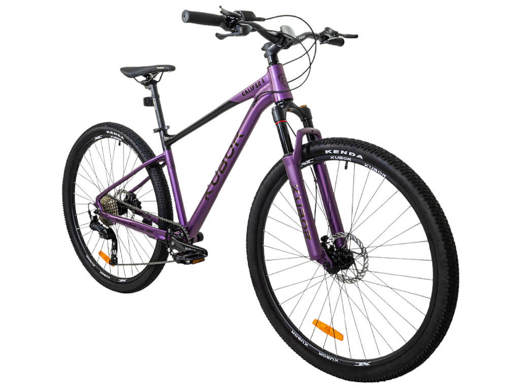 CALIPSO 4 R29 9V Bicicleta de Montaña