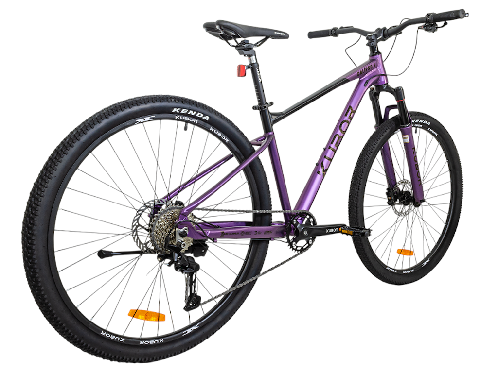 CALIPSO 4 R29 9V Bicicleta de Montaña